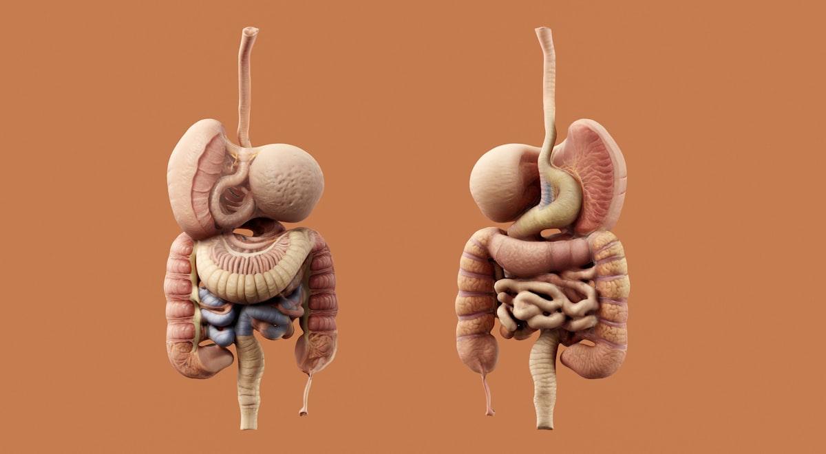 Síndrome del intestino permeable